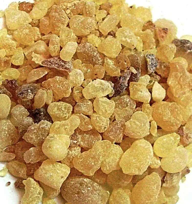 Boswellia Supplement: 500 mg * 100 Capsules – Resin, Anti-Inflammatory