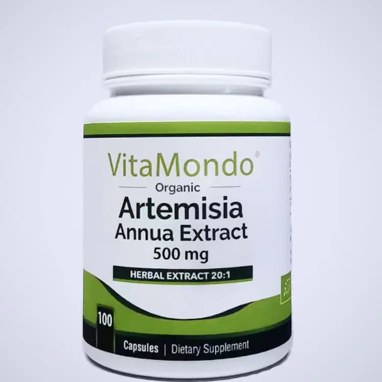 Organic-Artemisia-Annua-Supplement-500-mg-Capsules-1 Organic Artemisia Annua Supplement Capsules