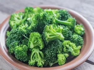 Organic Broccoli Sprout 